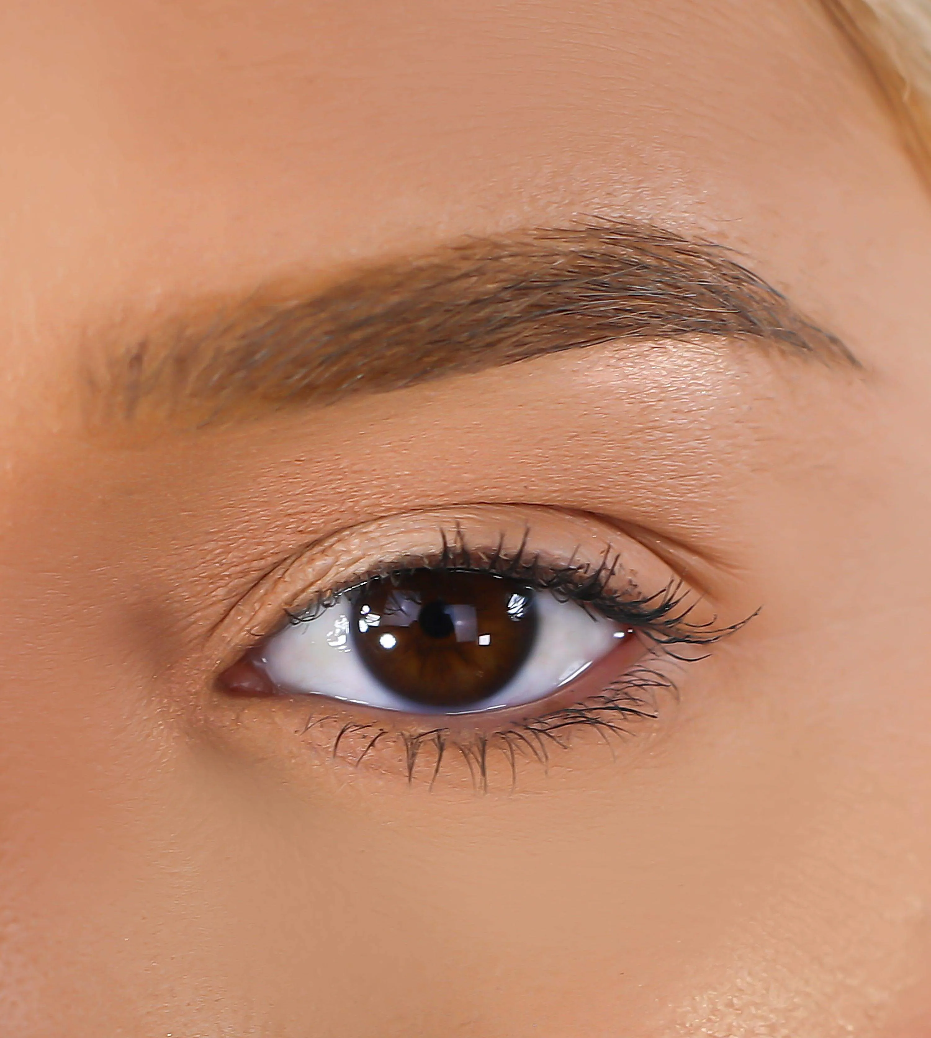 3D Mink Eyelashes - Larger Than Life