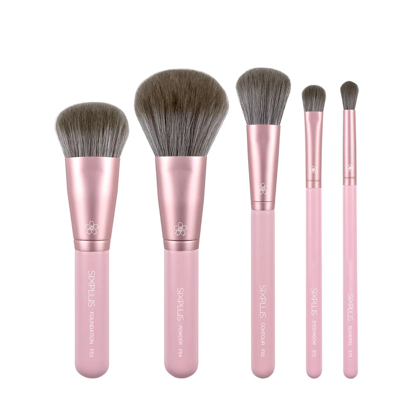 5pcs Pink Basic Makeup Brush set
