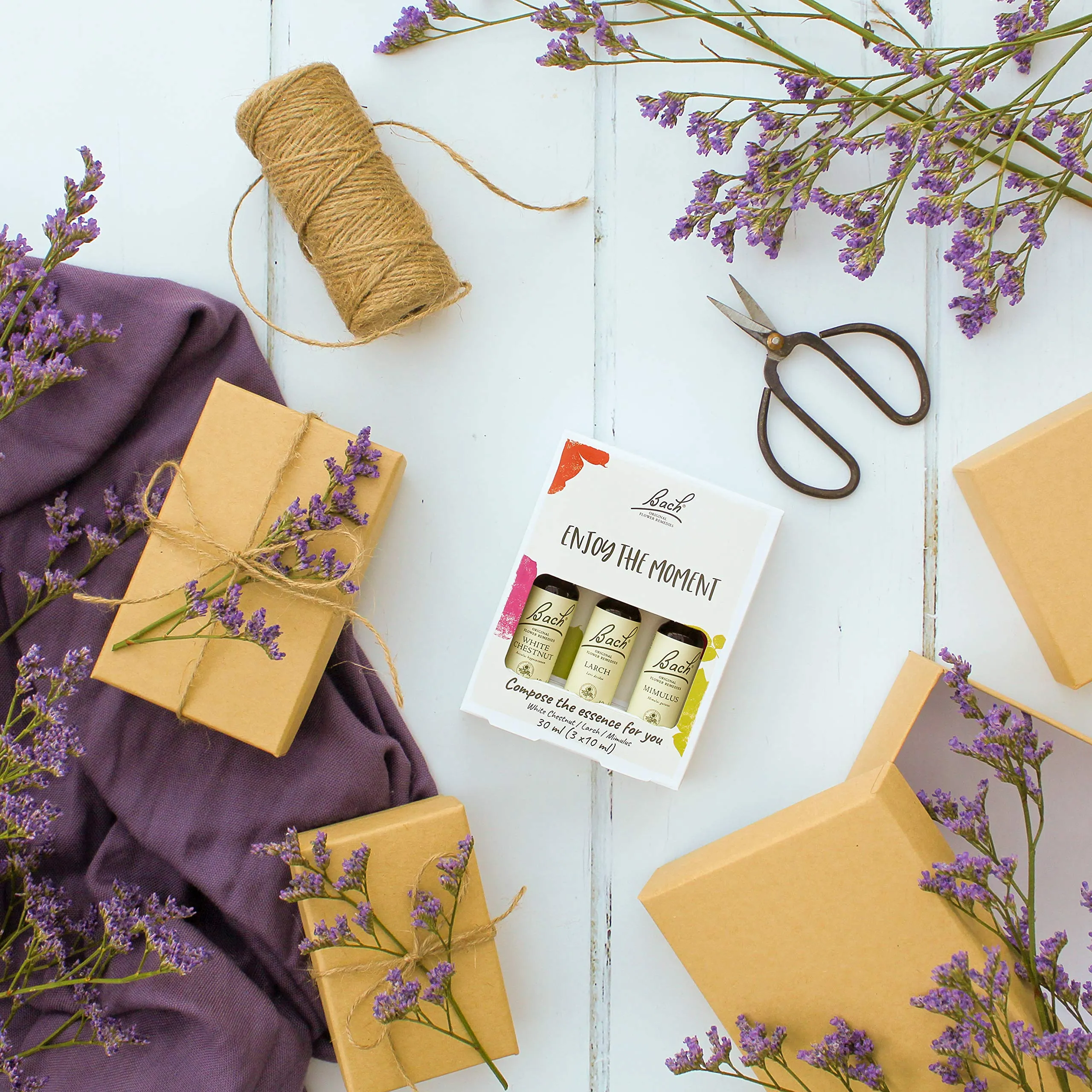 Bach Original Flower Remedy, Vegan formula, Flower Essences, An Individual and Personal Approach to Emotional Wellness, Easy to use, 1 White Chesnut x 10ml, 1 Larch x10ml, 1 Mimulus x 10 ml