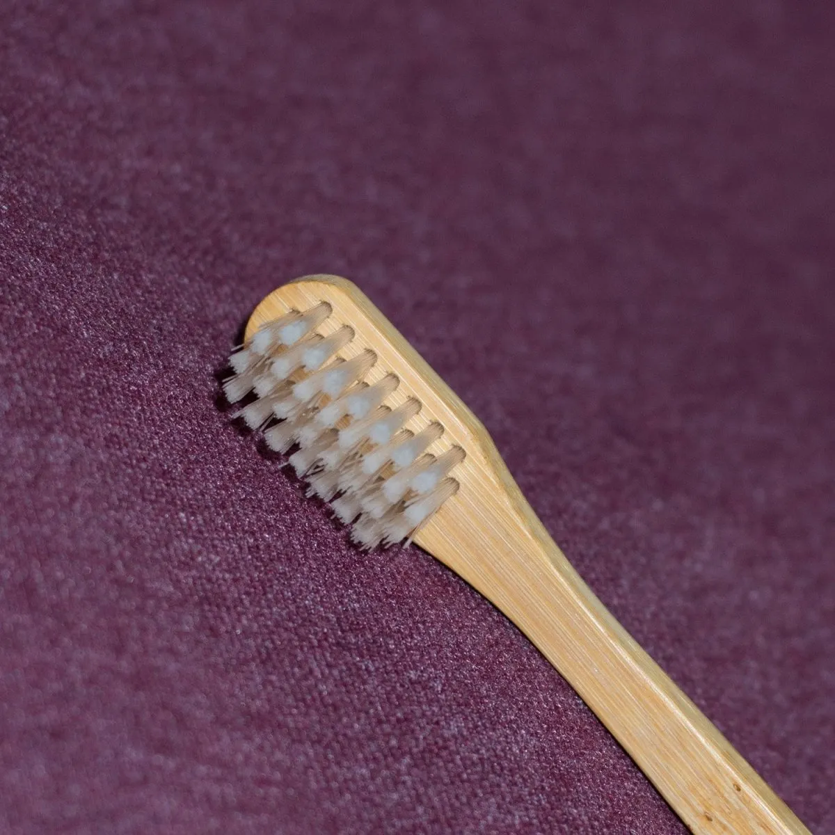 Bamboo Toothbrush | Pack of 4