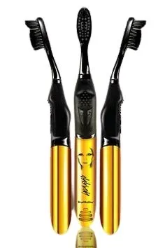 Brush Buddies Lady Gaga Singing Toothbrush (Born This way & Bad Romance)