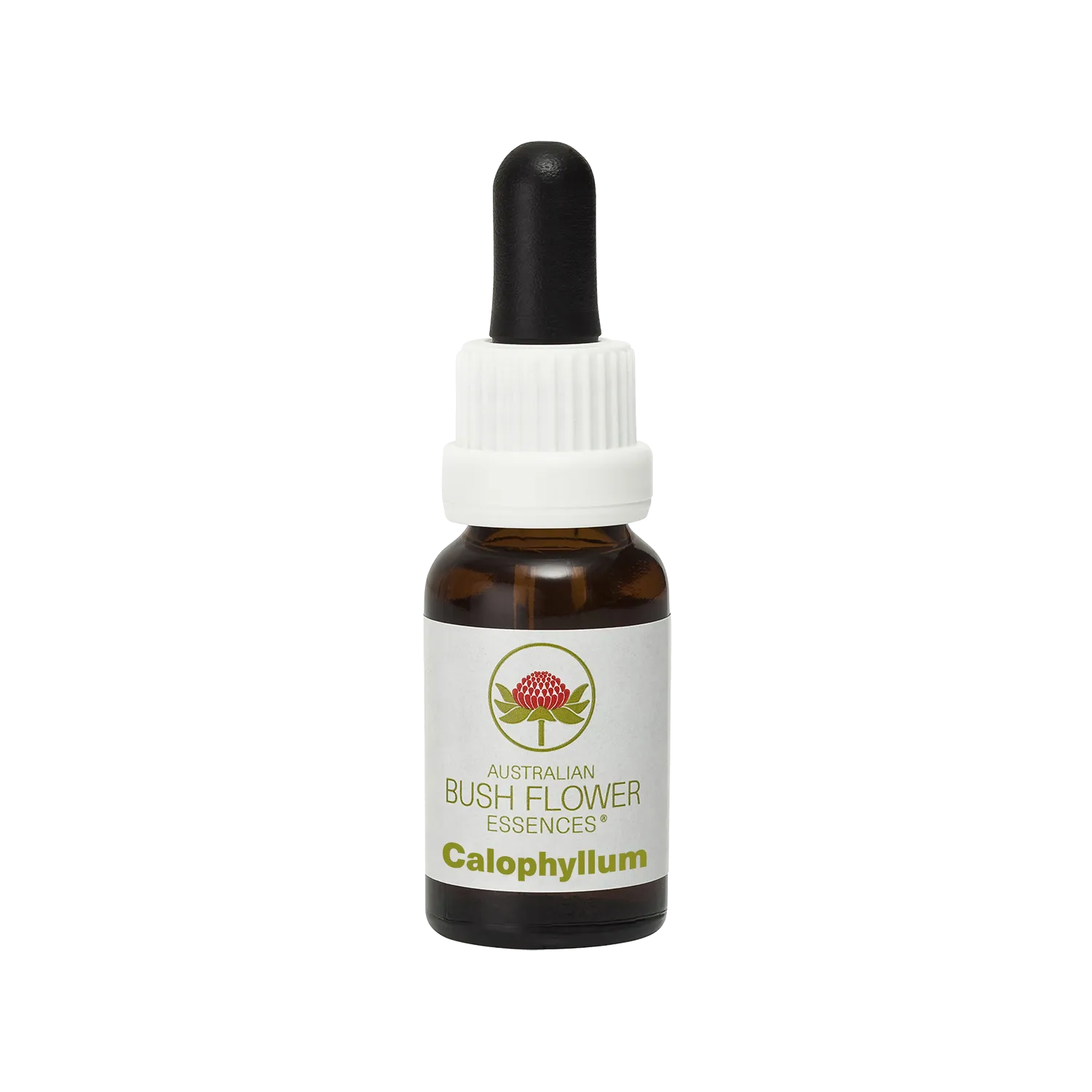 Calophyllum - Australian Bush Flower Essence Stock Bottle Remedy - 15mL