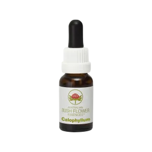 Calophyllum - Australian Bush Flower Essence Stock Bottle Remedy - 15mL