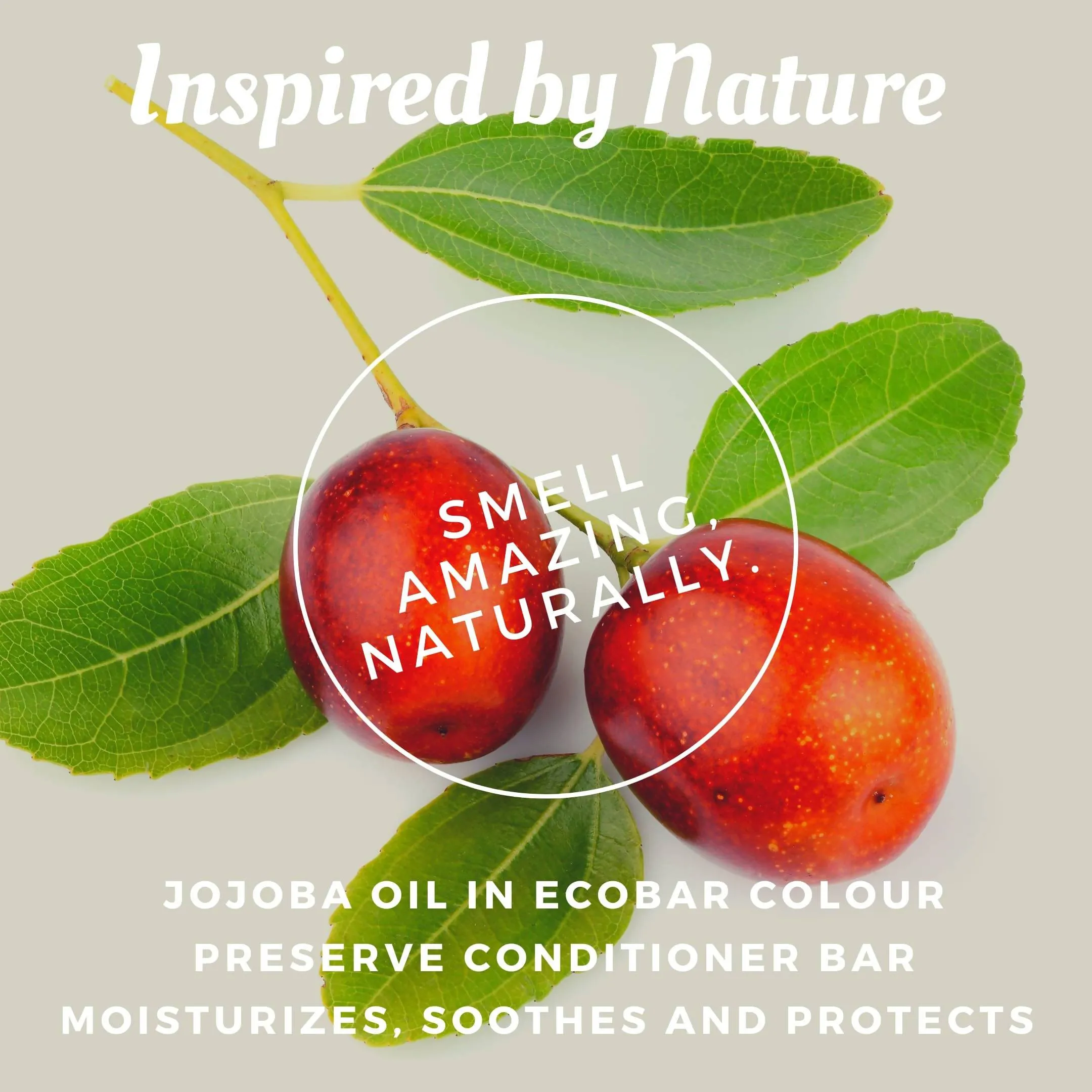 Ecobar Colour Preserve Conditioner Bar