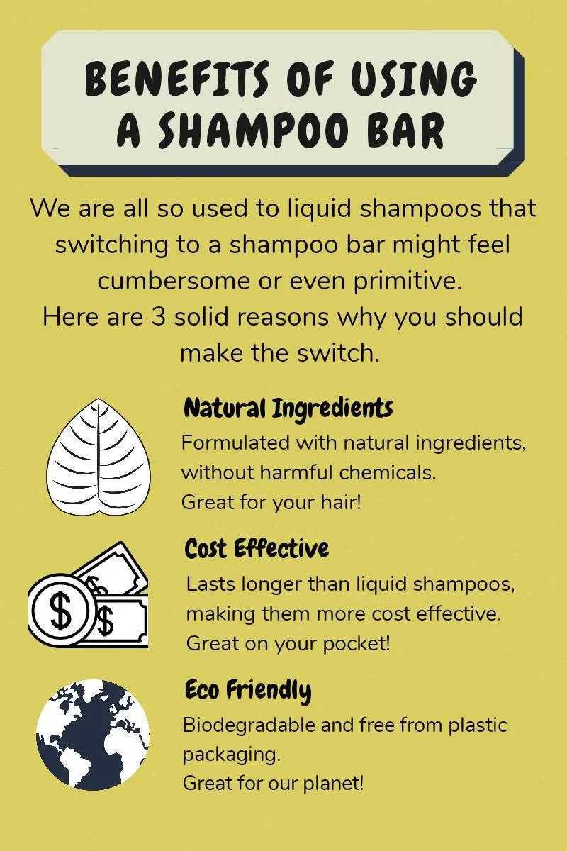 Ecobar Colour Preserve Shampoo Bar