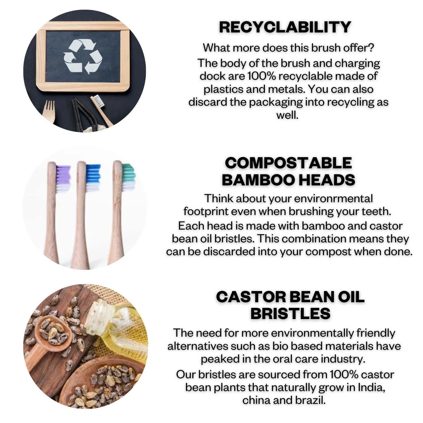 Electric Toothbrush with Replaceable Bamboo Head