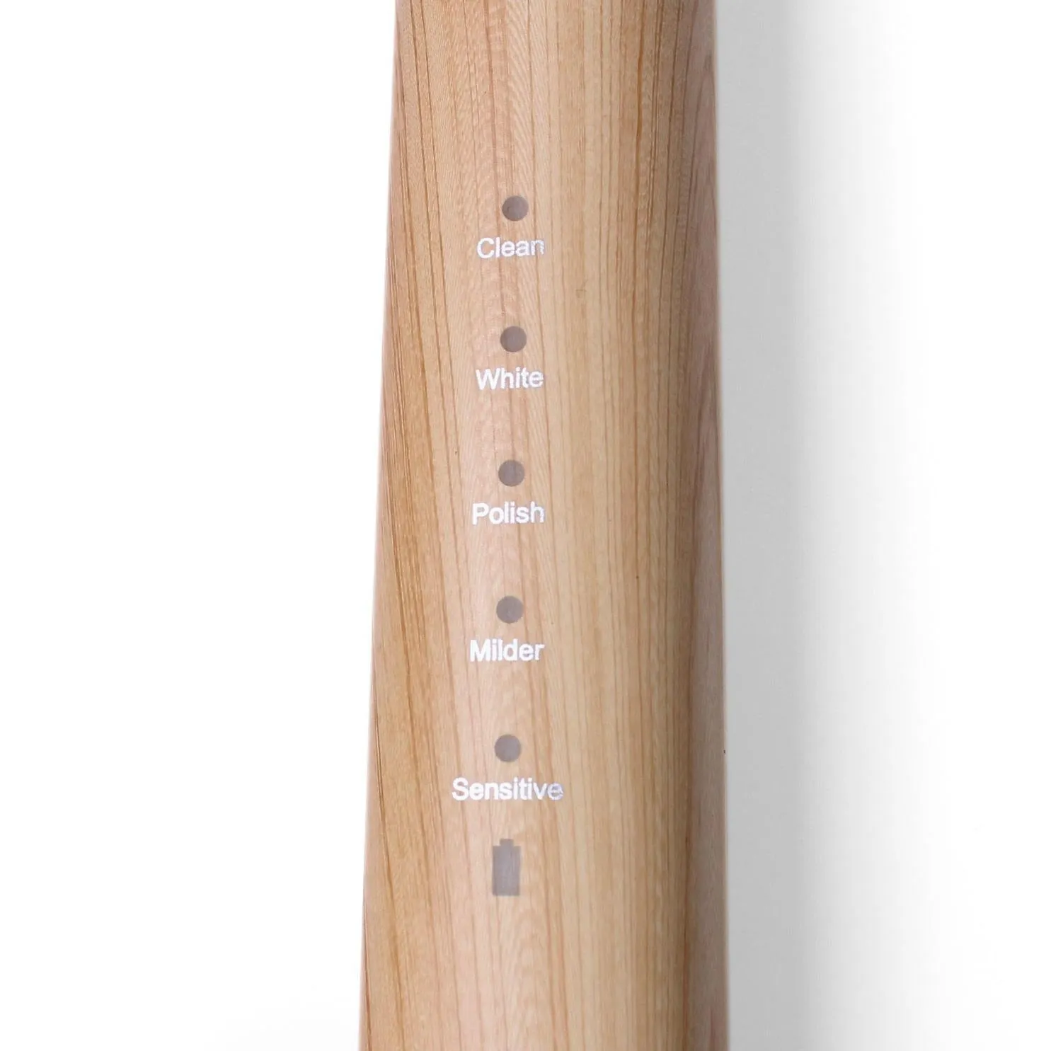 Electric Toothbrush with Replaceable Bamboo Head