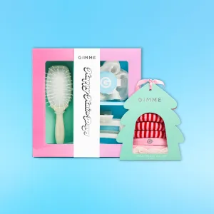 Holiday Ornament   Gift Box Bundle