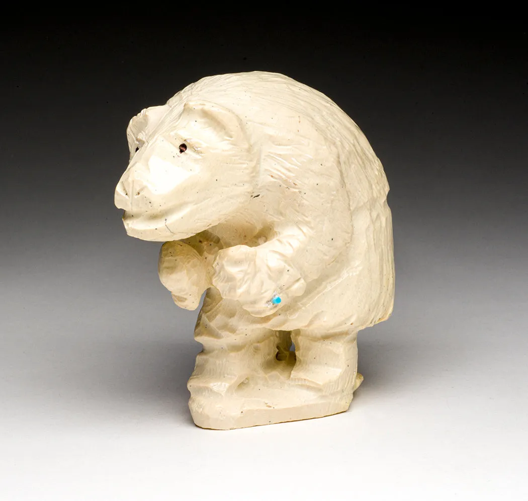 Honoring Bear Dancer