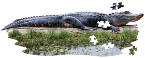 I Am Lil Gator 100pc Puzzle