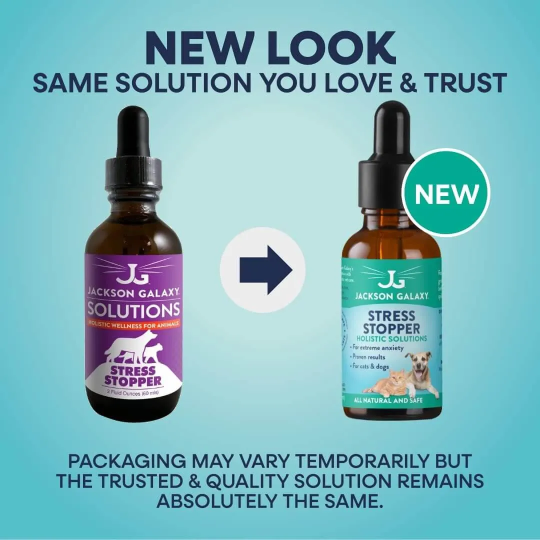 Jackson Galaxy Spirit Essences Separation Anxiety Solution