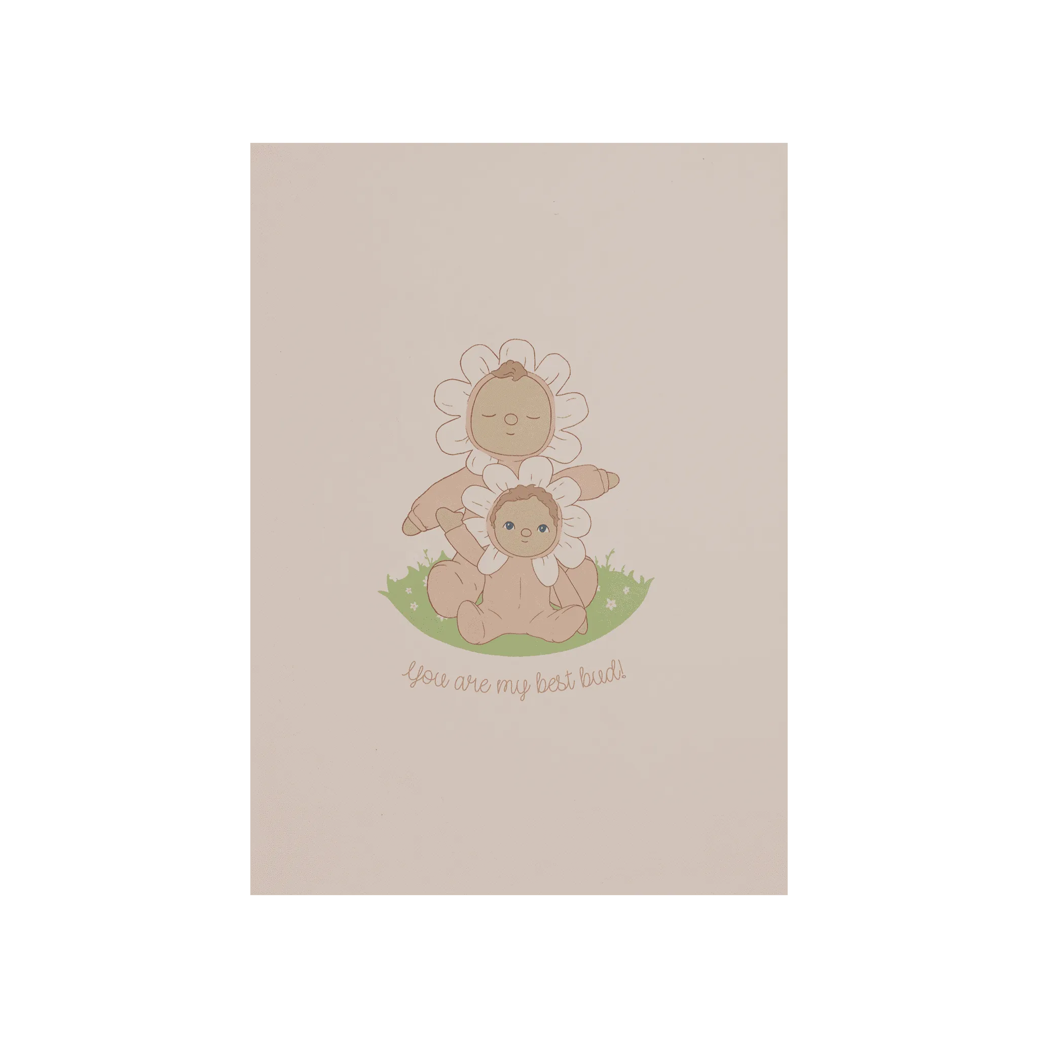 Limited Edition Blossom Buds - Gift Set - Tulip