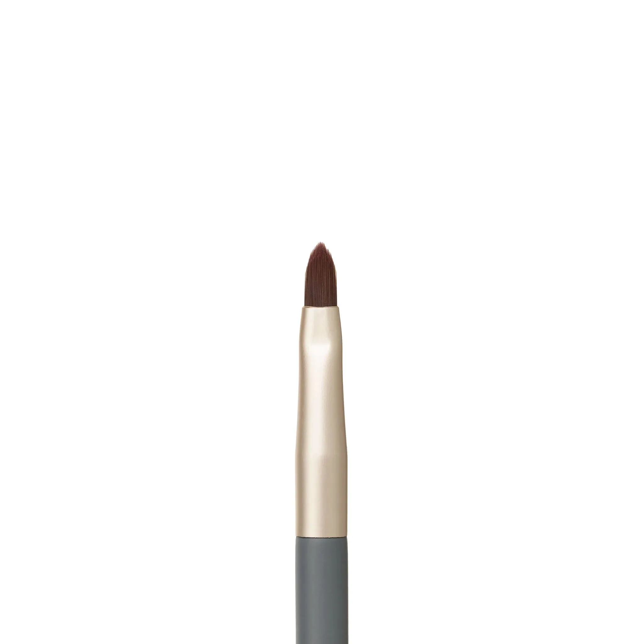 Lip Brush Ⓥ