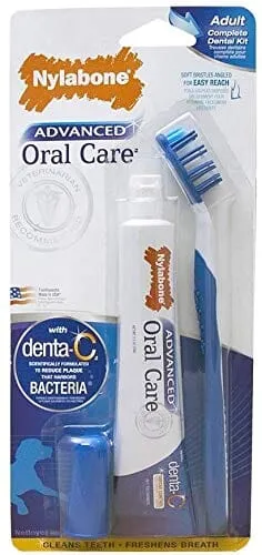 Nylabone Advanced Oral Care Adult Dental Kit Dog Dental Care - 2.5 Oz