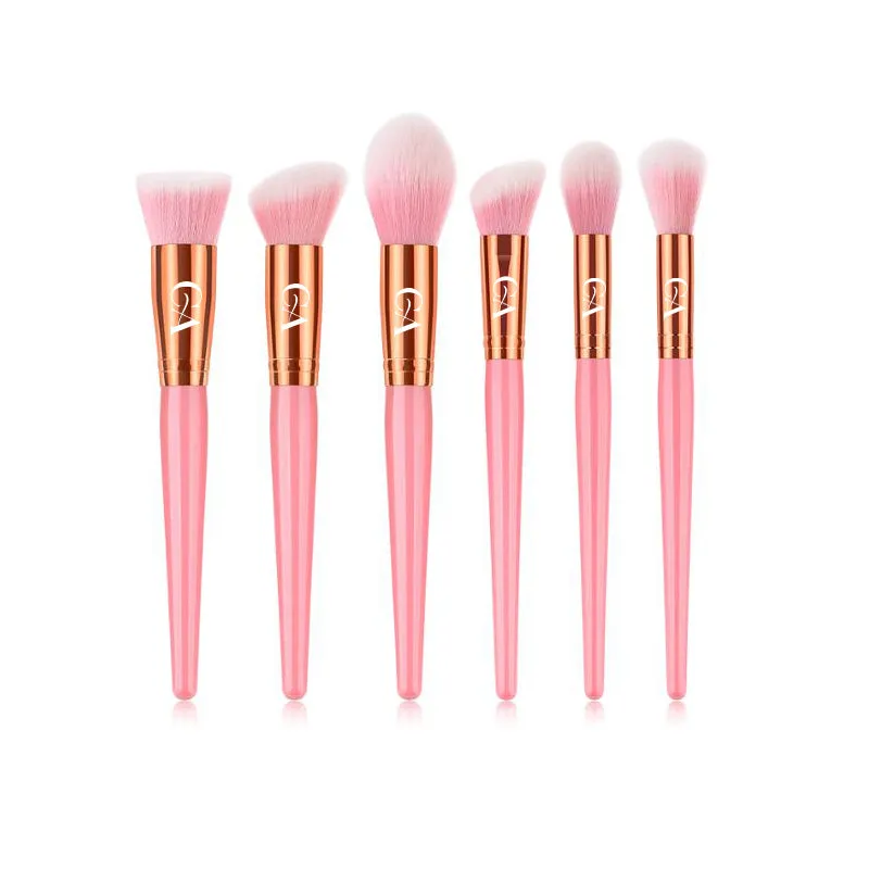 Pink and Posh Brush Set