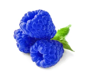 Raspberry Blue Flavour Oil