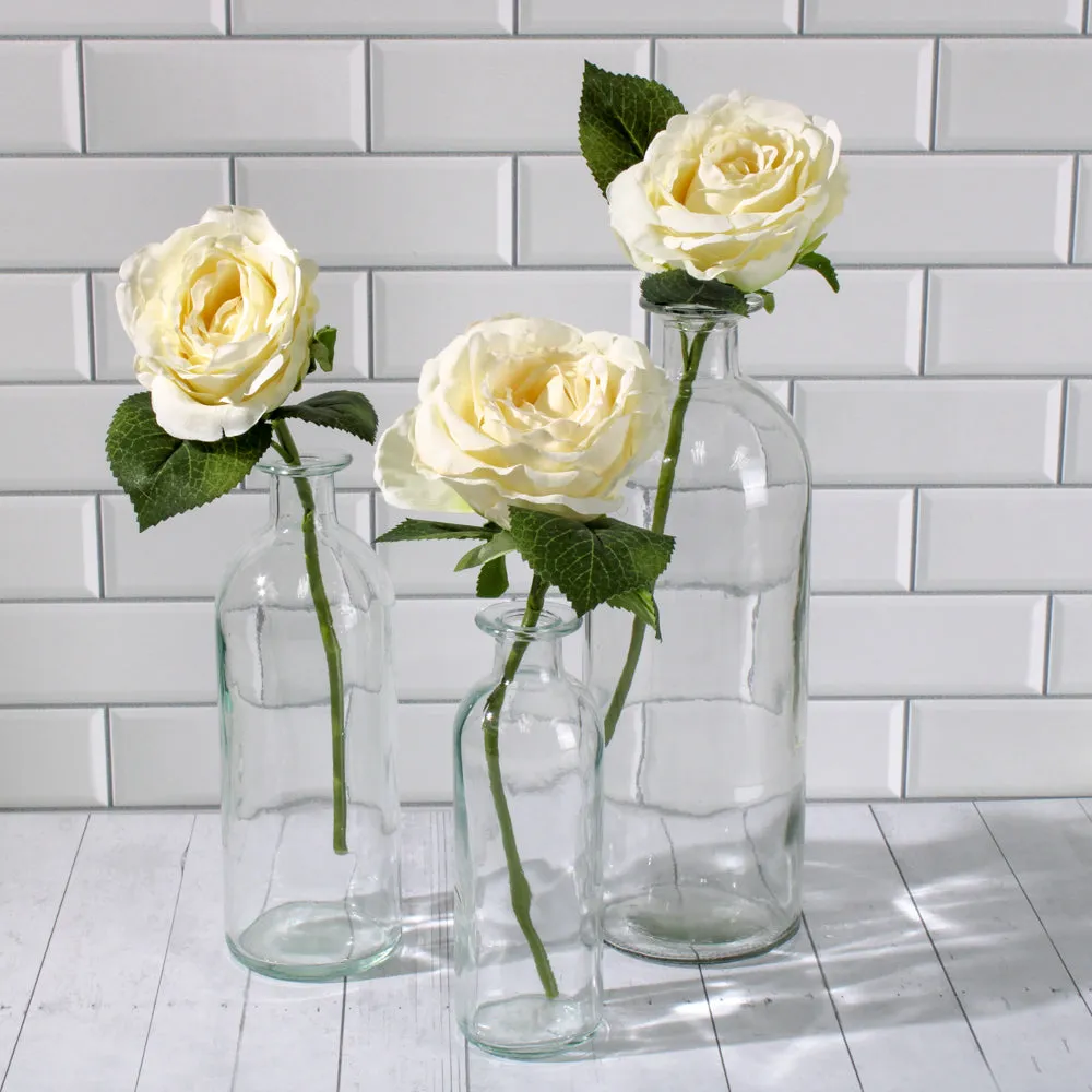 Richland Apothecary Glass Bottle 6" Set of 12