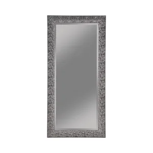 Rollins 32 x 66 Inch Rectangular Floor Mirror Black