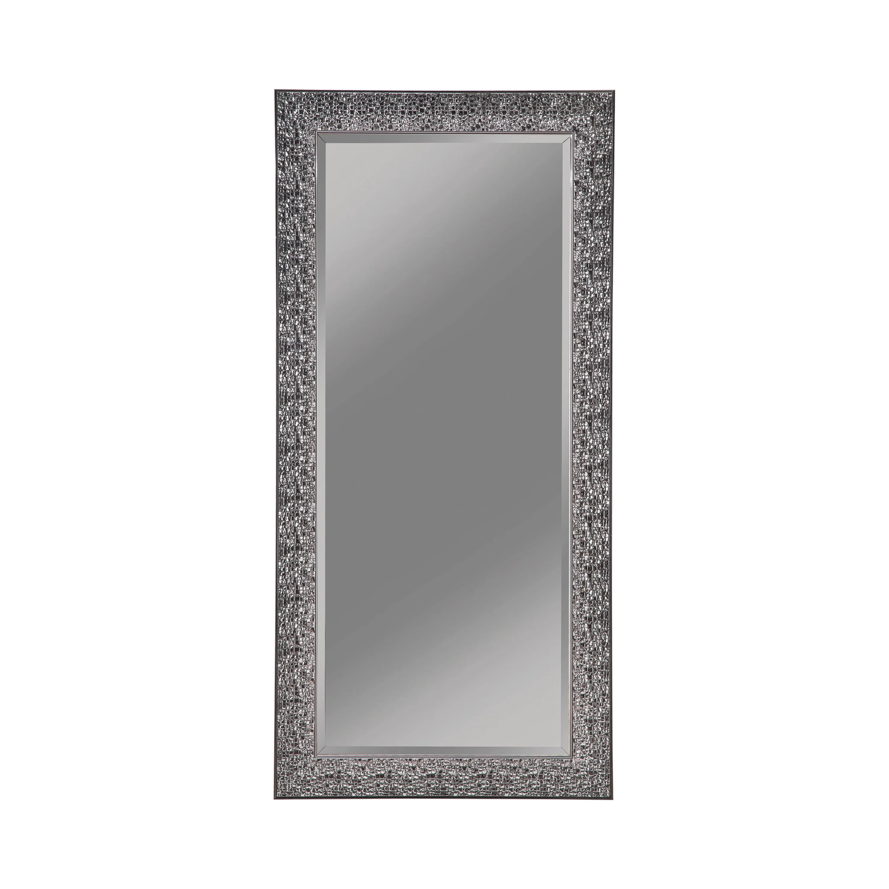 Rollins 32 x 66 Inch Rectangular Floor Mirror Black