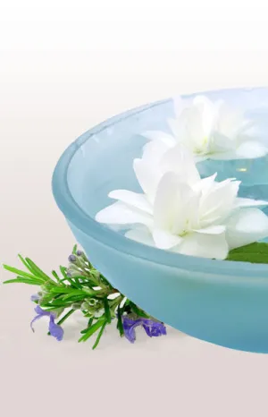 Star Tulip 1/4 oz. Flower Essence