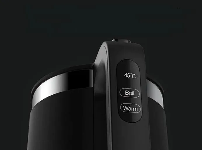 Temperature Control Electric Kettle