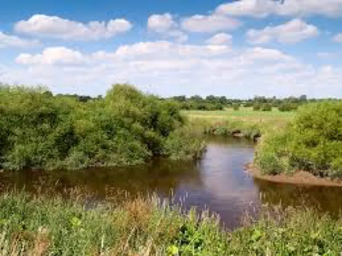 Verbeia River Essence - Cawood